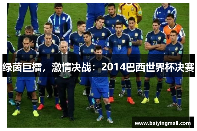 绿茵巨擂，激情决战：2014巴西世界杯决赛