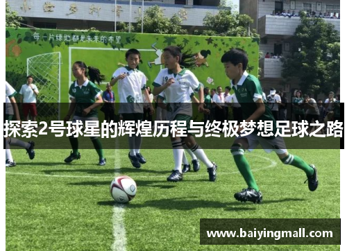 探索2号球星的辉煌历程与终极梦想足球之路