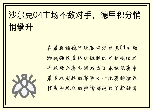 沙尔克04主场不敌对手，德甲积分悄悄攀升
